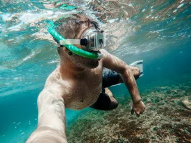 Guided Snorkeling Tours